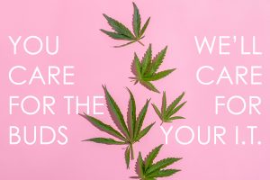 A trail of cannabis leaves lead up the center of the image. Text on either side reads: You care for the buds. We care for your IT.